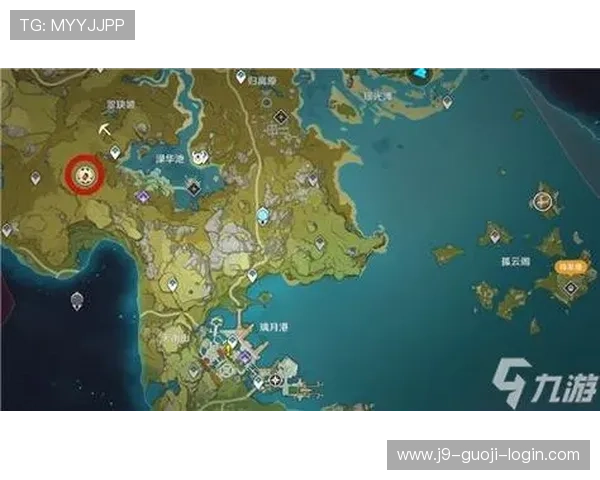 九游官方网站进入流程详解适合不同设备用户的操作指南